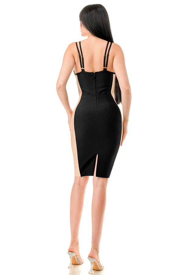 TS443