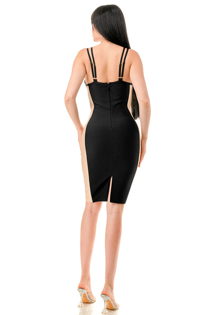 TS443