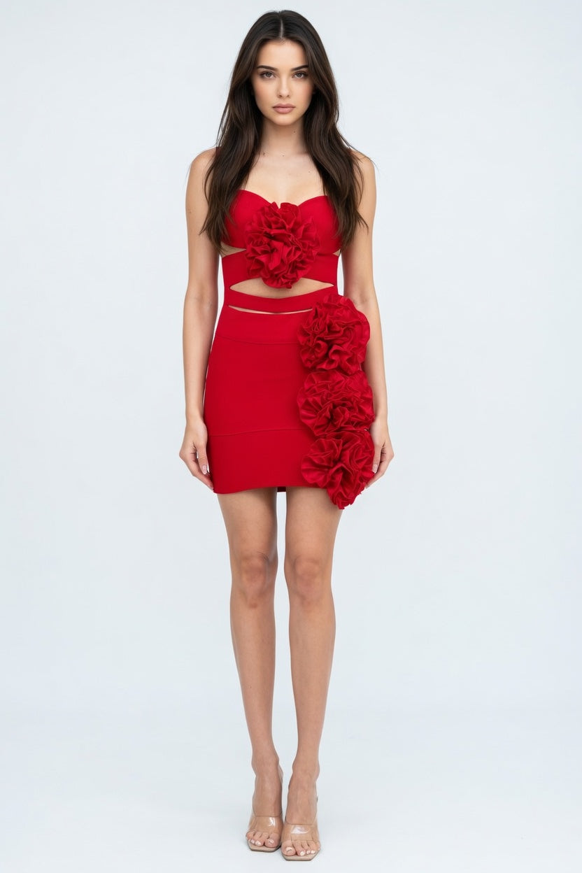 Rosé Romance Floral Bandage Mini Dress